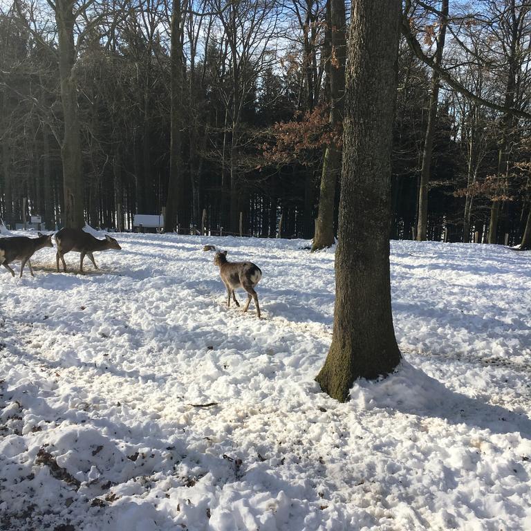 B&B La Ferme Du Doux 리브라몽 외부 사진